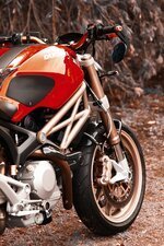 Aesthetics of ducati and hayabusa